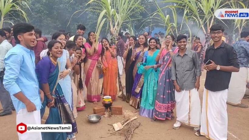 Pongal 2024: Know date, time, significance and more of this harvest festival 