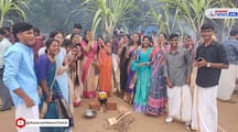 private college students celebrate pongal festival in traditional method in thiruvarur vel