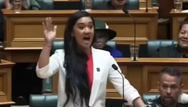 New Zealand Parliament Young MP Hana Rawhiti Maipi Clarke speech went viral in internet ans