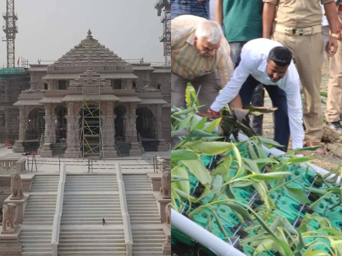 Ram Mandir Consecration: Ramayan-era Trees To Adorn Ayodhya