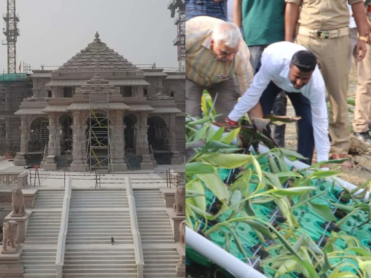 Ram Mandir consecration: Ramayan-era trees to adorn Ayodhya