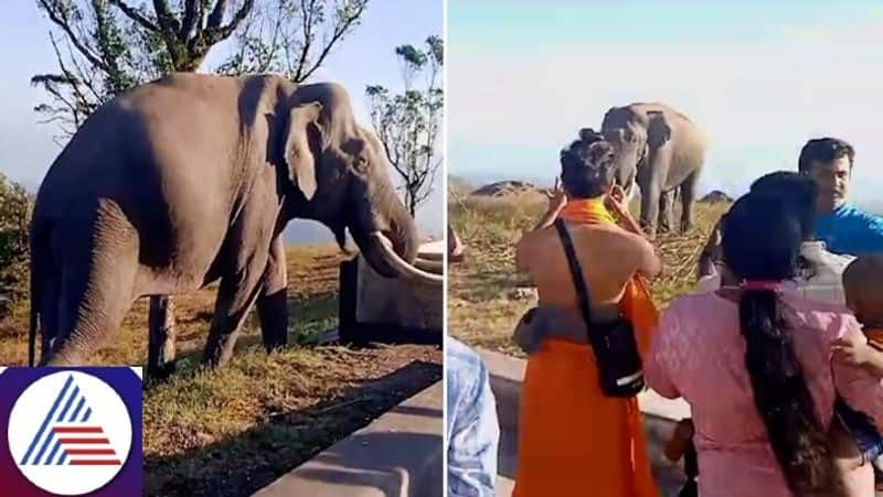 Karnataka: Lone Tusker roaming near Himavad Gopalaswamy Temple in Chamrajnagar captivates devotees (WATCH) vkp