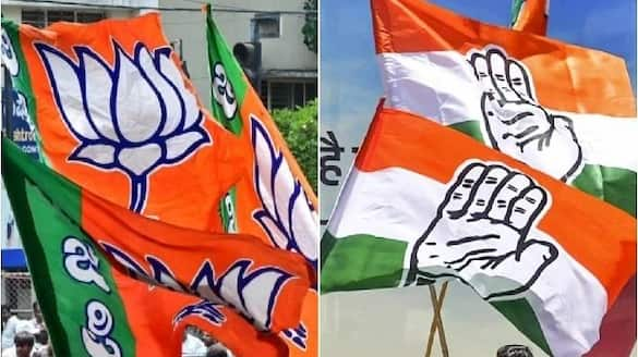 Byelection Results 2024: NDA sweeps Bihar, Assam; Priyanka Gandhi wins Wayanad; full list of winners anr