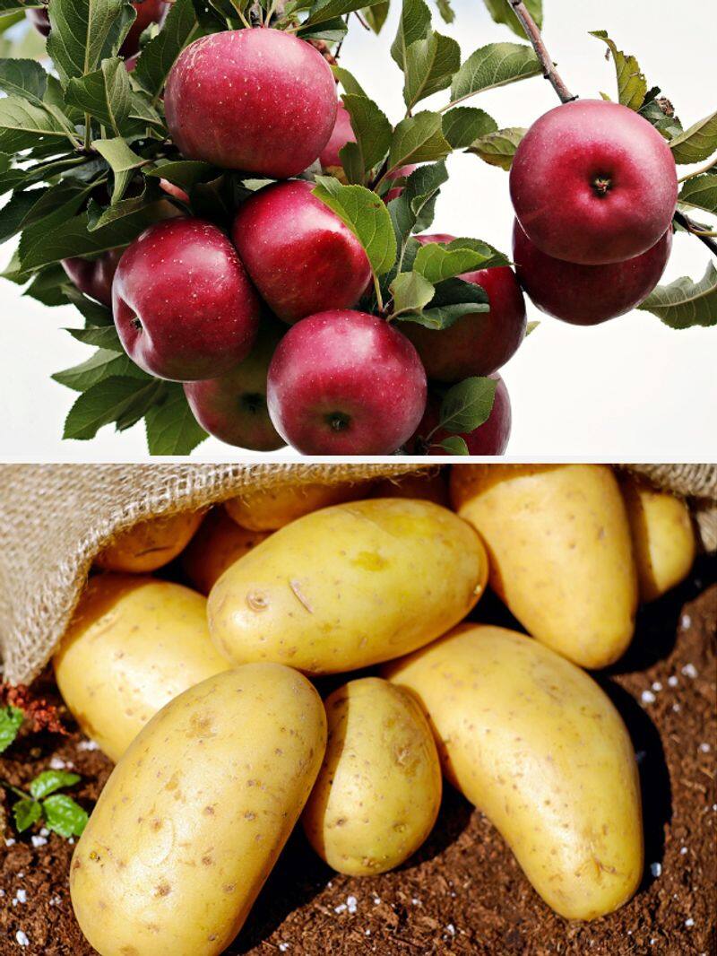 Apples to Potatoes: 7 fruits/vegetables that can be eaten with Peels ATG