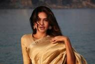 Esha gupta 10 saree photo zkamn