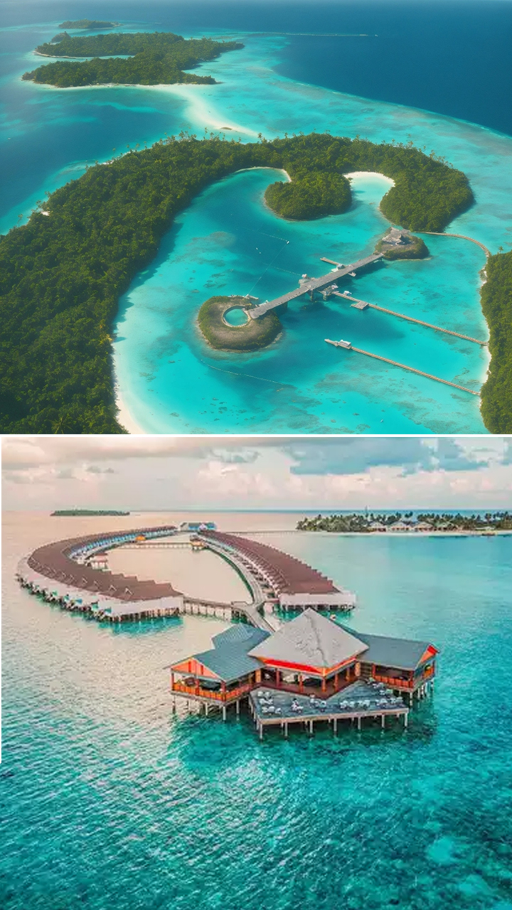 Maldives India Row How did the Maldives become a favorite spot for international tourists? Rya