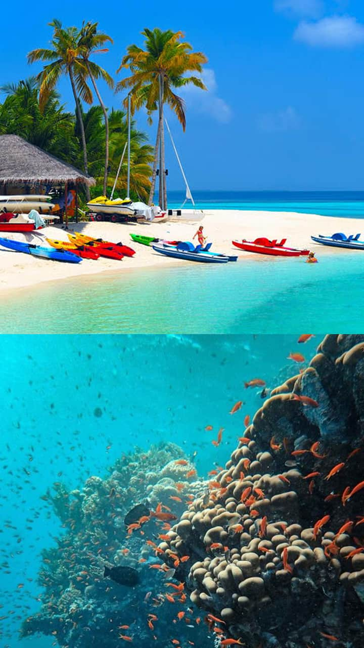 Visit Lakshadweep: Know how to apply for permit RBA