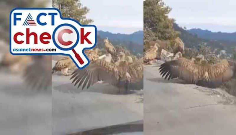 Viral video of Jatayu is not from Ayodhya ahead inauguration of the Ram Temple fact check jje 