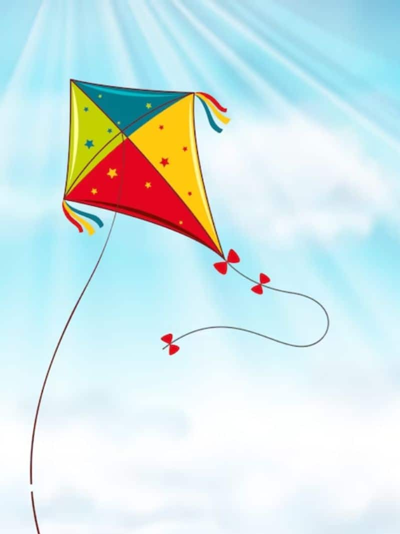 Makar Sankranti 2024: Why do we fly kites on this day? anr