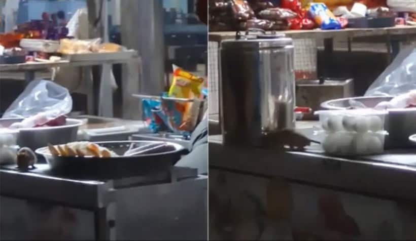 Rat infestation at IRCTC stall in MP's Itarsi junction leaves internet disgusted, railways respond (WATCH)