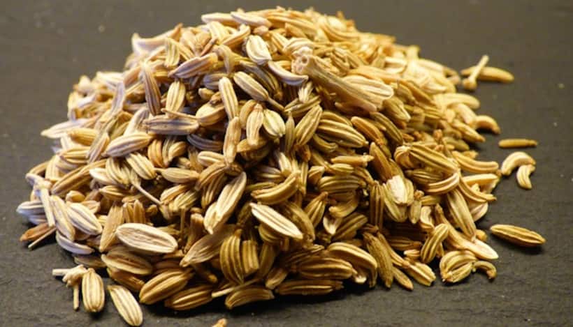 Fennel
