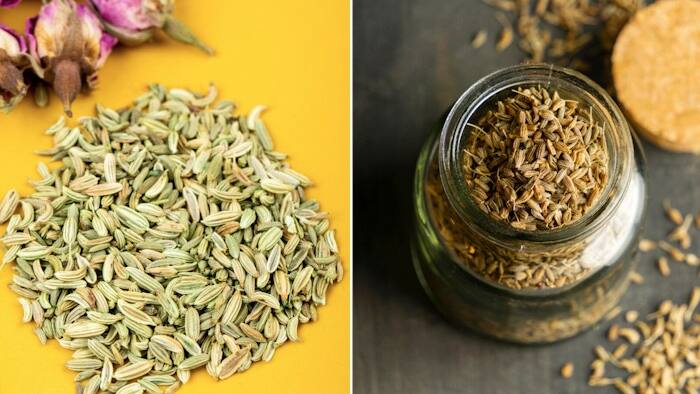 Fennel