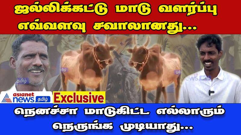 all you know about how to train jallikattu kaalai dee