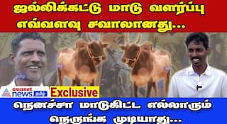 all you know about how to train jallikattu kaalai dee