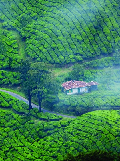 1. Scenic Landscapes: