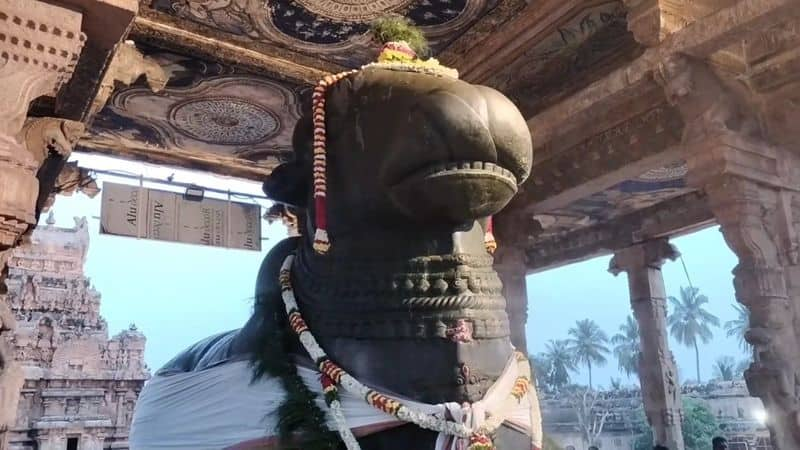 special pooja held at nandi statue at big temple for pradosham in thanjavur vel