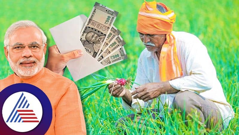 Union Budget 2024: No farm loan waiver announcement in interim budget sgb