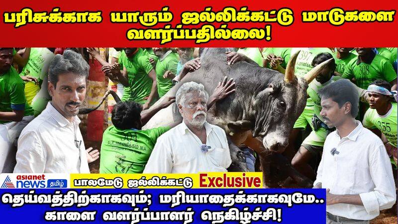 Palamedu Jallikattu getting Ready for Pongal Festival dee