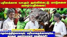 Palamedu Jallikattu getting Ready for Pongal Festival dee