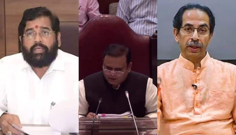 Maharashtra Speaker Says Uddhav Thackeray Had No Power To Remove Eknath Shinde sgb