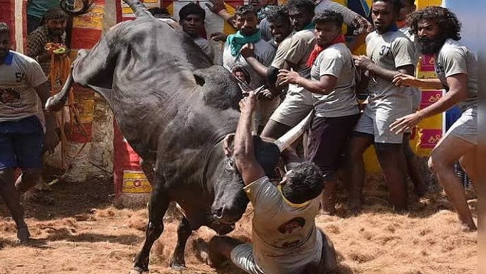 Avaniyapuram jallikattu competition started on the occasion of Pongal festival KAK