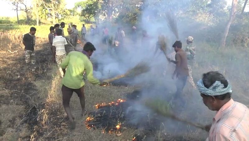 Guarding Bandipur ecosystem: Karnataka forest dept implements fire lines for wildfire defense vkp