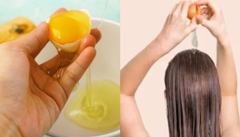 egg hair mask for healthy hair  