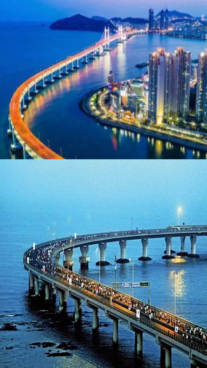 india Longest sea Bridge atal setu mumbai-trans-harbor-link-bridge iwh