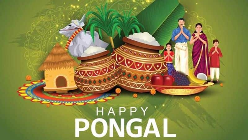 Pongal 2024: Know dates, shubh muhurat, rituals, puja samagri, and more RBA