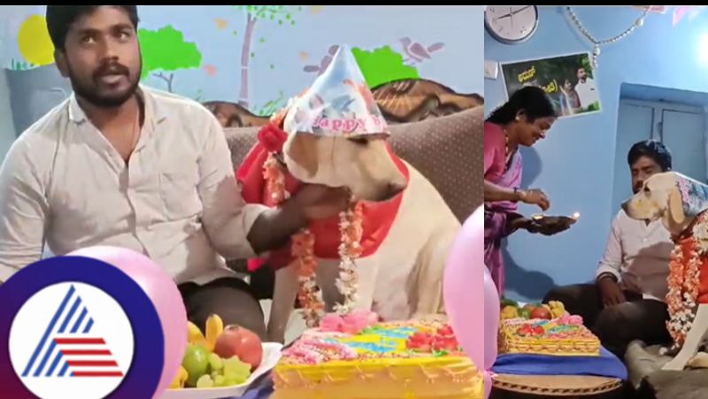 Baby shower ceremony from owner to beloved dog at chitradurga rav