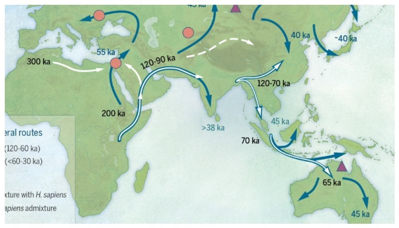 Chinese researchers says Homo sapiens migrated from Africa to Asia 125000 years ago bkg