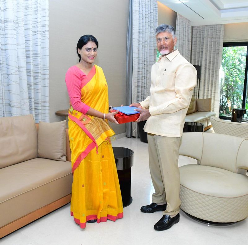 Y.S. Sharmila invites TDP Chief Nara Chandrababu Naidu for her Son marriage lns