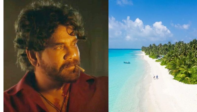 superstar nagarjuna and his entire family cancel their holiday trip to maldives ash