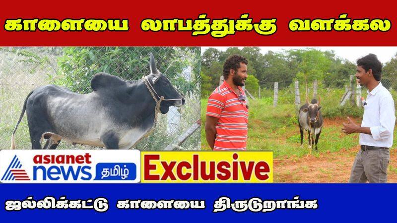 asianet tamil had an exclusive interview with jallikattu kalai trainer moorthy dee