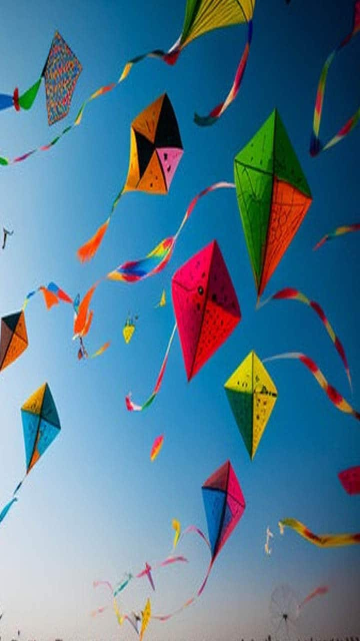 Do you know why kites are flown on Independence Day?