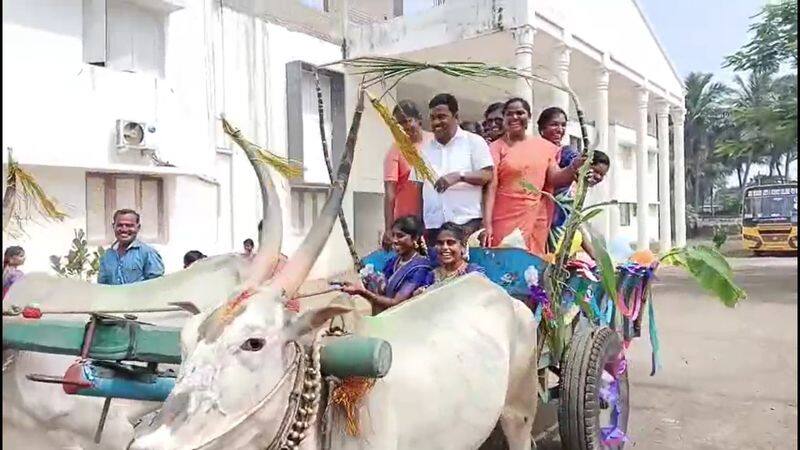 college students ride with cow chariot at pongal function in thiruvarur vel