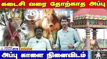 The popularity of jallikattu has spread to the extent that it is PR appu dee