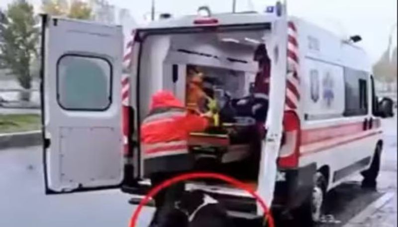 dog following ambulance with owner viral video rlp