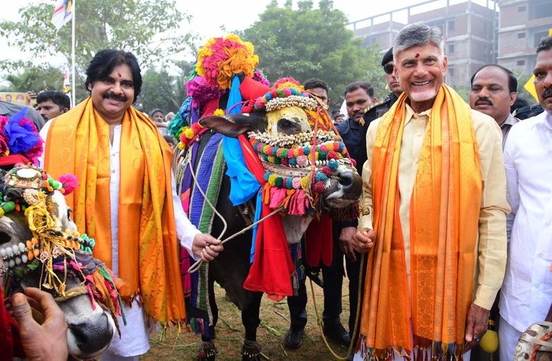 TDP Chief Chandrababu and Janasenani Pawan Kalyan Sankranti Celebrations AKP