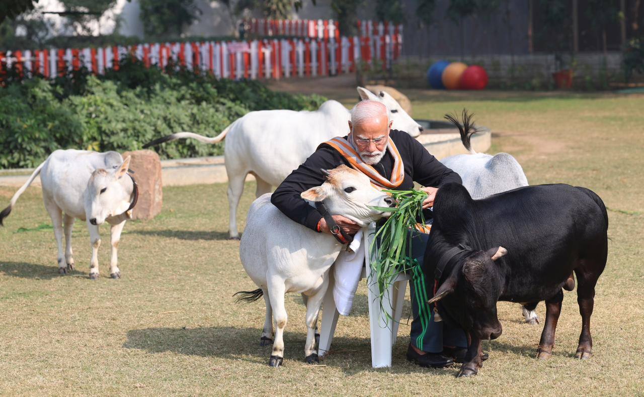 PM Modi feeds cows on auspicious occasion of Makar Sankranti festival in his residence Delhi ckm