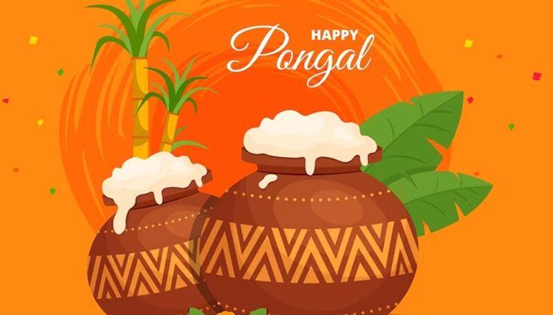 Happy Pongal 2024: Wishes, Messages, Greetings, Facebook/Whatsapp status, quotes for loved ones ATG