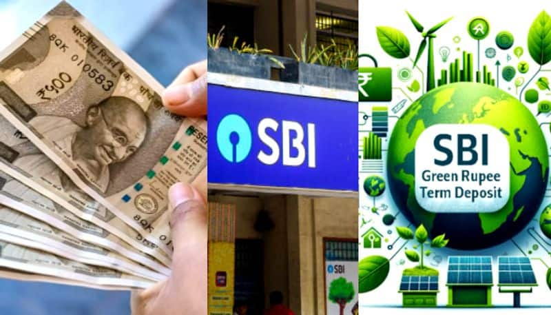 SBI launches new FD scheme How much interest will you get