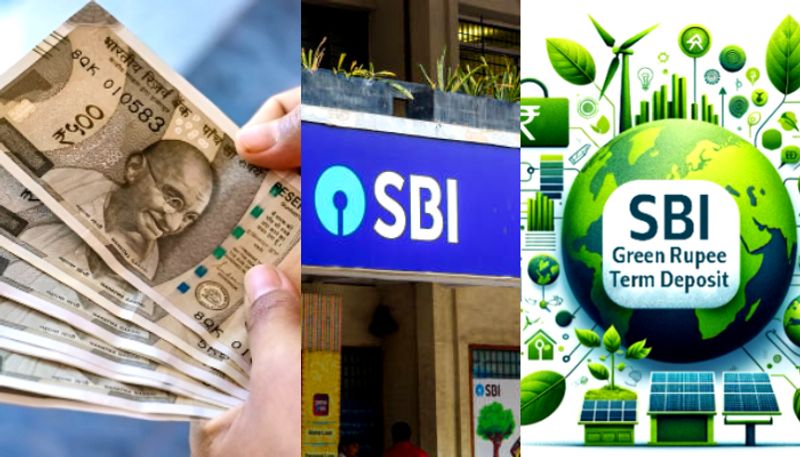 SBI launches new FD scheme How much interest will you get