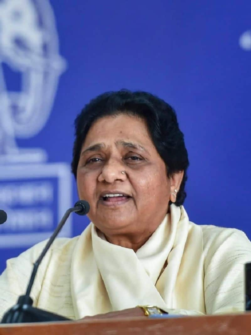 why did bsp president mayawati not get married zrua