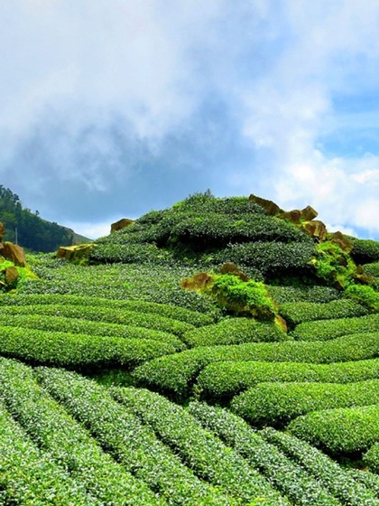 2. Coorg, Karnataka