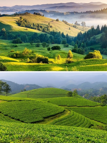 7 perfect weekend getaways from Bengaluru THIS summer