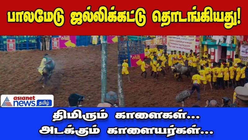 madurai famous palamedu jallikattu began dee