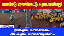 madurai famous palamedu jallikattu began dee