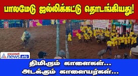 madurai famous palamedu jallikattu began dee