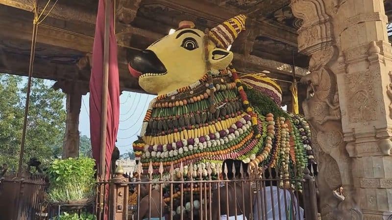 nandi statue decorated by 3 tons of fruits and vegetables in thanjavur big temple for mattu pongal vel